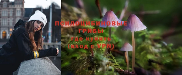 марихуана Белокуриха